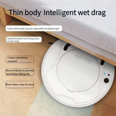 AI Robot Vacuum Cleaner