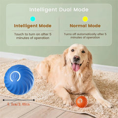 Smart Electronic Dog Ball