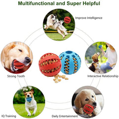 Interactive Dog Ball Feeder