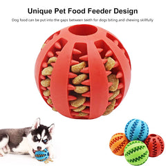 Interactive Dog Ball Feeder