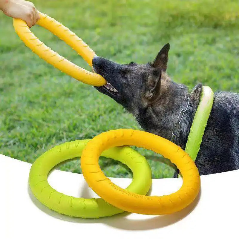 Dog Training Ring Puller