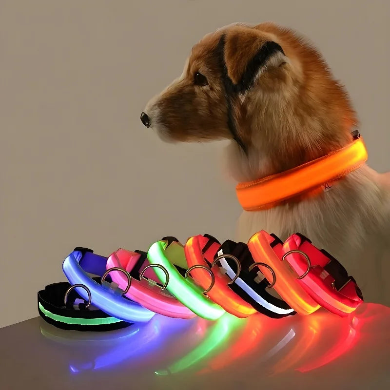 LED Dog Nylon Collar