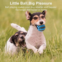 Interactive Dog Ball Feeder